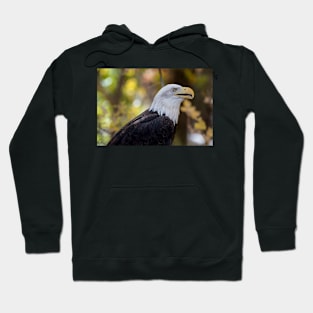 Bald Eagle Hoodie